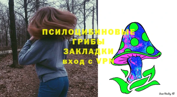 прущая мука Горняк